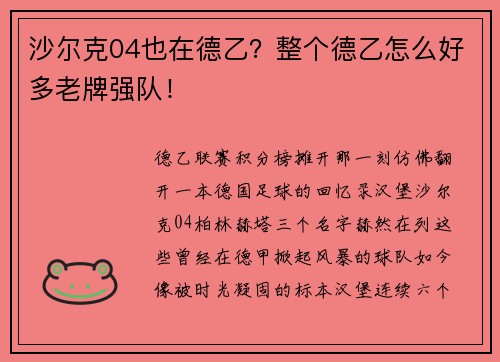 沙尔克04也在德乙？整个德乙怎么好多老牌强队！